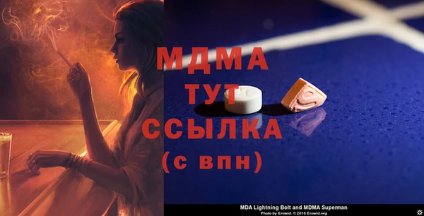шишки Дмитровск
