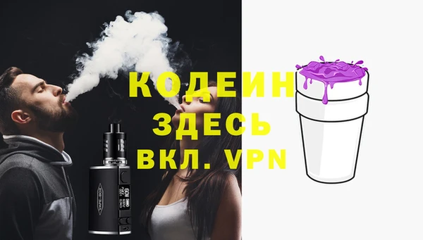 ПСИЛОЦИБИНОВЫЕ ГРИБЫ Гусь-Хрустальный
