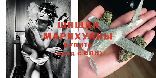 ПСИЛОЦИБИНОВЫЕ ГРИБЫ Гусь-Хрустальный