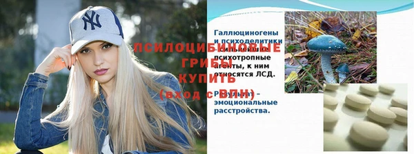 ПСИЛОЦИБИНОВЫЕ ГРИБЫ Гусь-Хрустальный
