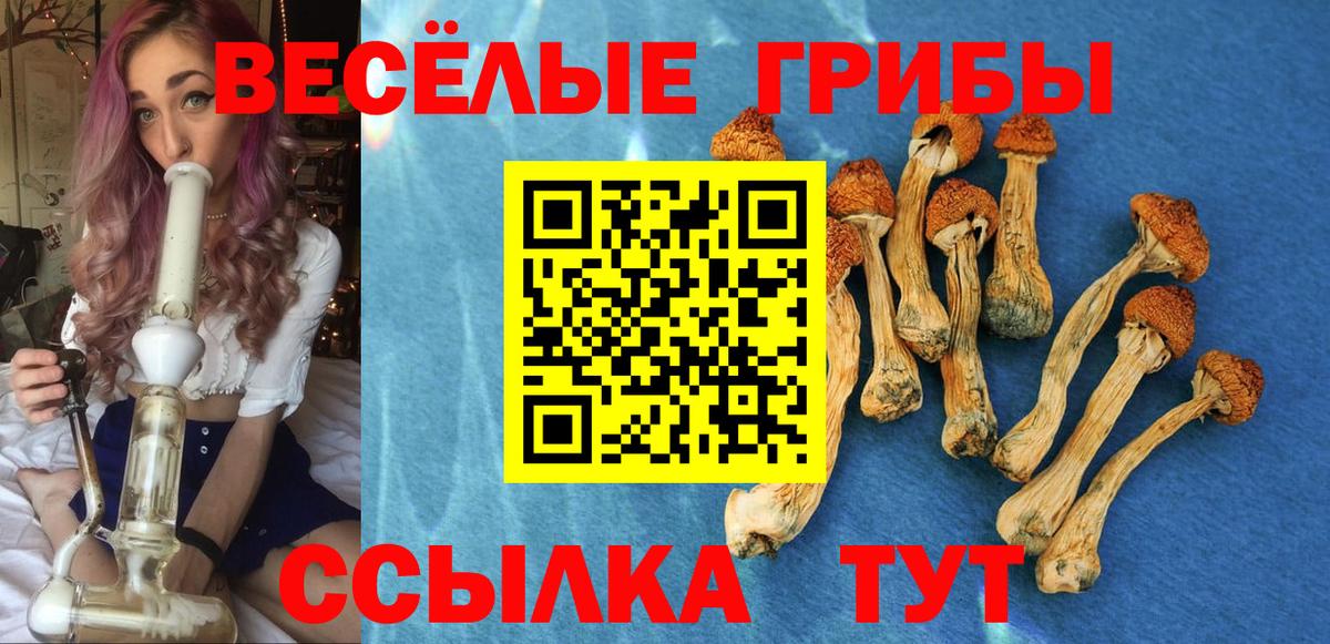 Псилоцибиновые грибы мухоморы  Псилоцибиновые грибы Psilocybine cubensis  Вход с VPN  Новый Уренгой 