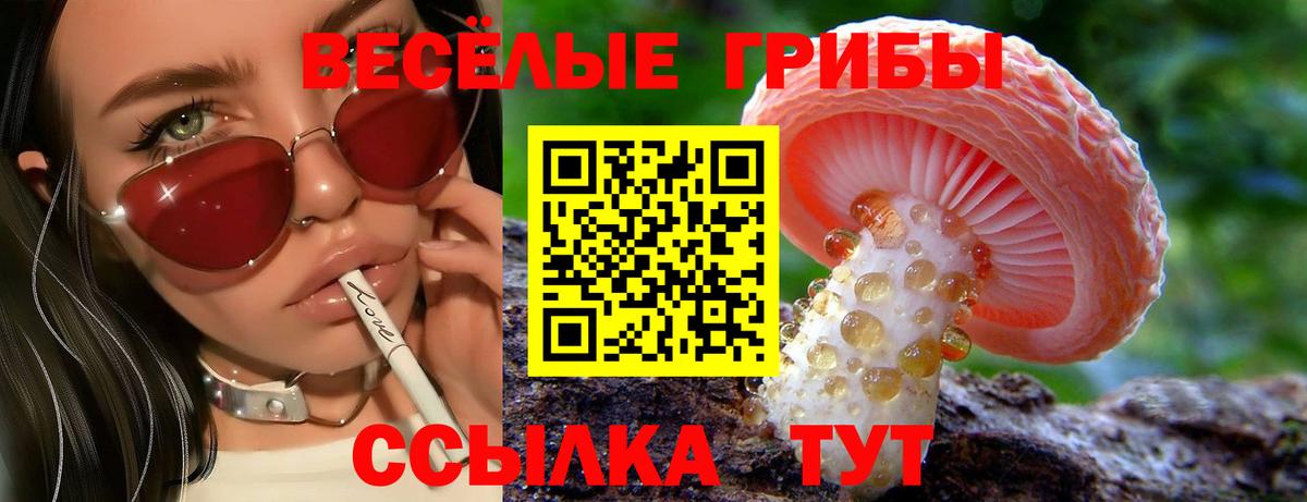 Галлюциногенные грибы Psilocybine cubensis Новый Уренгой