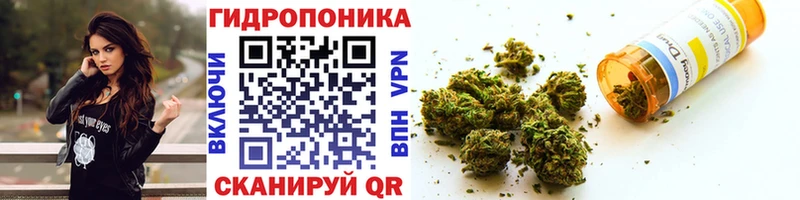 Купить где  Новый Уренгой  Бошки Шишки Bruce Banner 